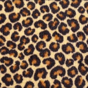 Meet your Posher, Carly